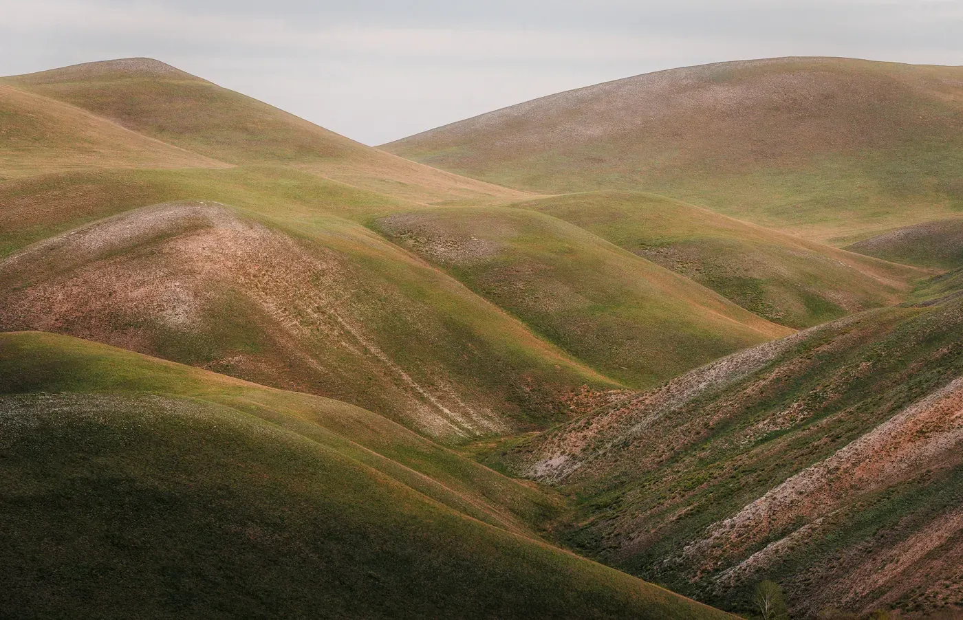 Rolling hills in soft green and rose